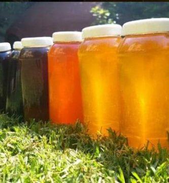 tienda miel mayabalam mieles de colores