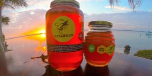 miel de la selva maya