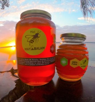 miel de la selva maya