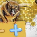 abejas cuentan y saben matematicas