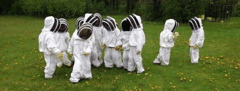 ¿Cómo podemos ayudar a las abejas?
enseñar a los niños a cuidar de nuestro planeta