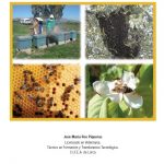 iniciacion a la apicultura