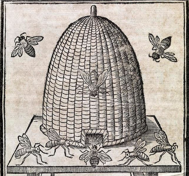 Colmena de paja, Las abejas a través del tiempo, colmena antigua, colmena egipcia