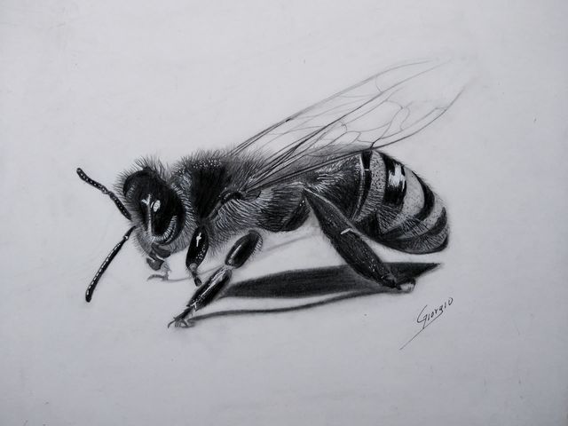 el simbolismo de la abeja