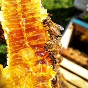 la miel pura se cristaliza