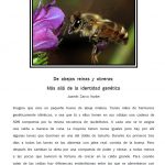 de abejas reinas y obreras mas alla de la identidad genetica