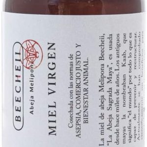 miel de abeja melipona becheii