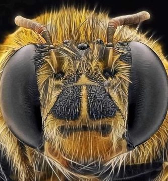 las abejas ven el mundo 5 veces mas rapido que los humanos
